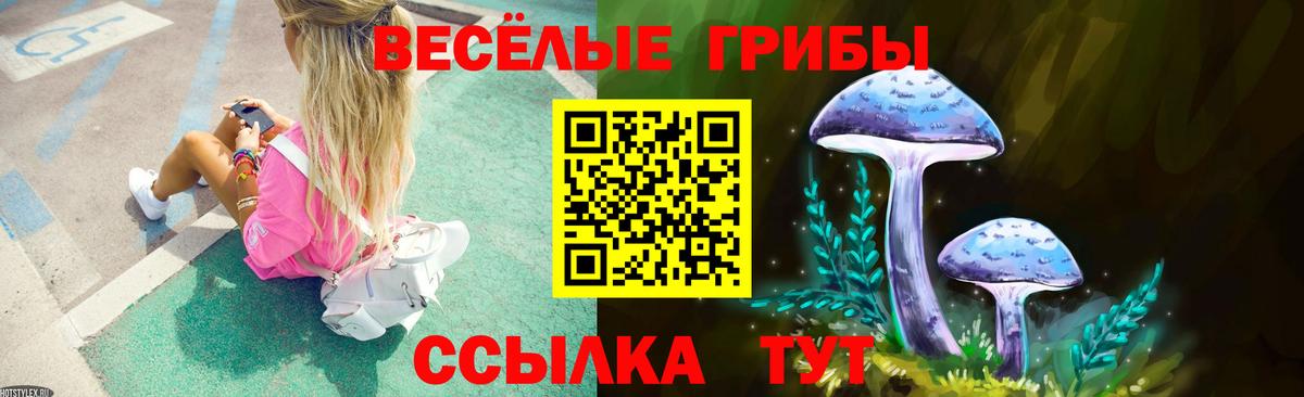 Родники  Псилоцибиновые грибы GOLDEN TEACHER  Вход с VPN 